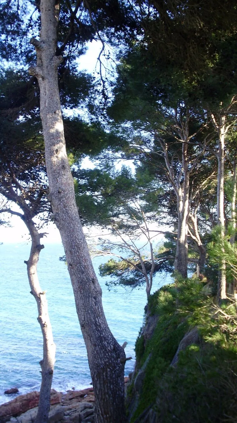 Racó dels Homes en Calonge, Gerona — foto 3 de 4