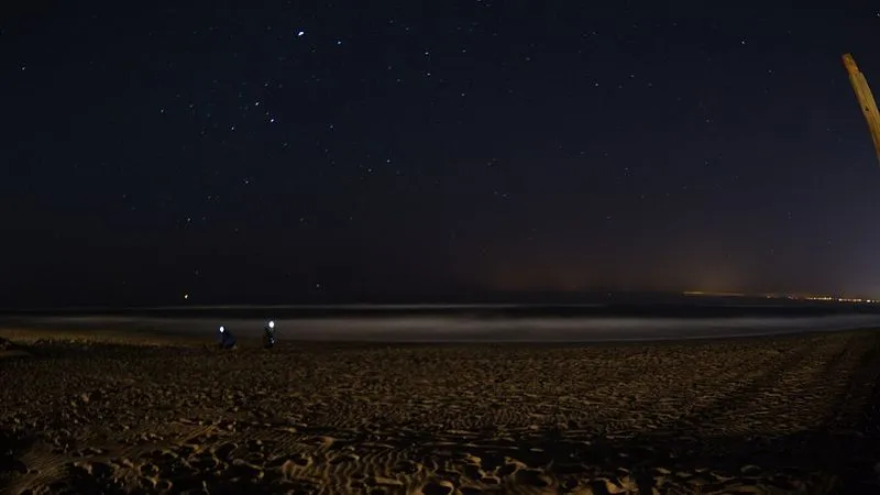Playa de Real de Zaragoza en Marbella, Málaga — foto 4 de 9