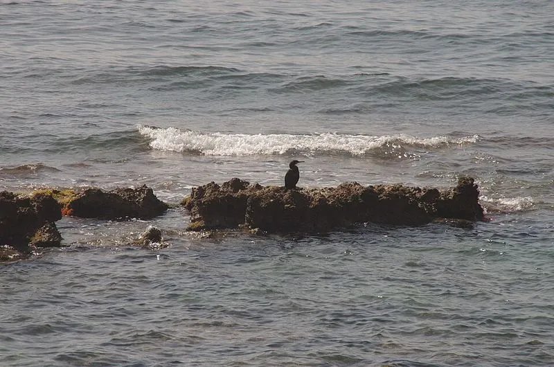 Playa de Renegà en Oropesa del Mar/Orpesa, Castellón — foto 4 de 7