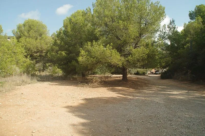 Playa de Renegà en Oropesa del Mar/Orpesa, Castellón — foto 7 de 7