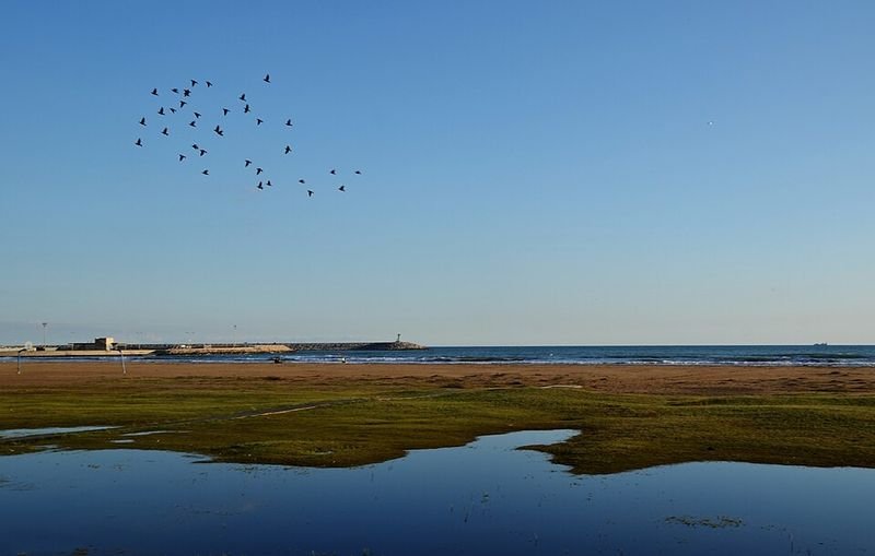 Playa Ribes Roges en Vilanova i la Geltrú