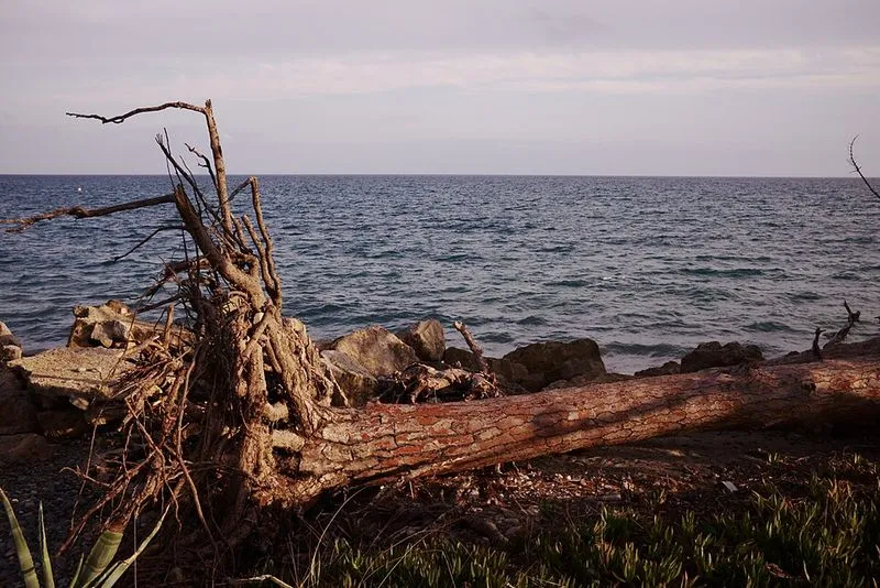Playa Rifà en Mont-roig del Camp, Tarragona — foto 2 de 5