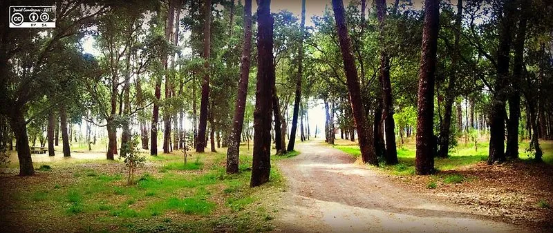Playa de Río Castro en Fene, A Coruña — foto 5 de 5