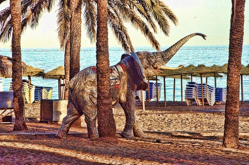 Playa Río Real en Marbella