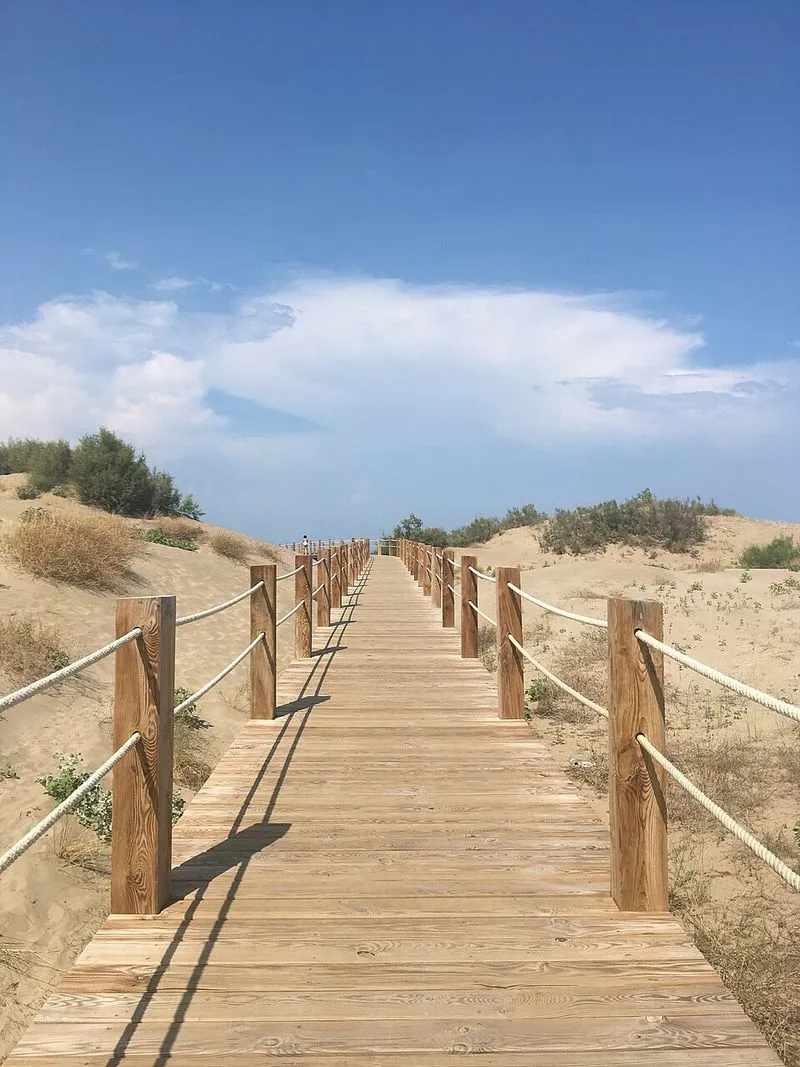 Playa de Riumar en Deltebre, Tarragona — foto 2 de 2