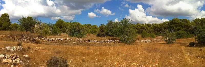 Playa de sa Caixota en Sant Josep de sa Talaia, Islas Baleares — foto 1 de 2