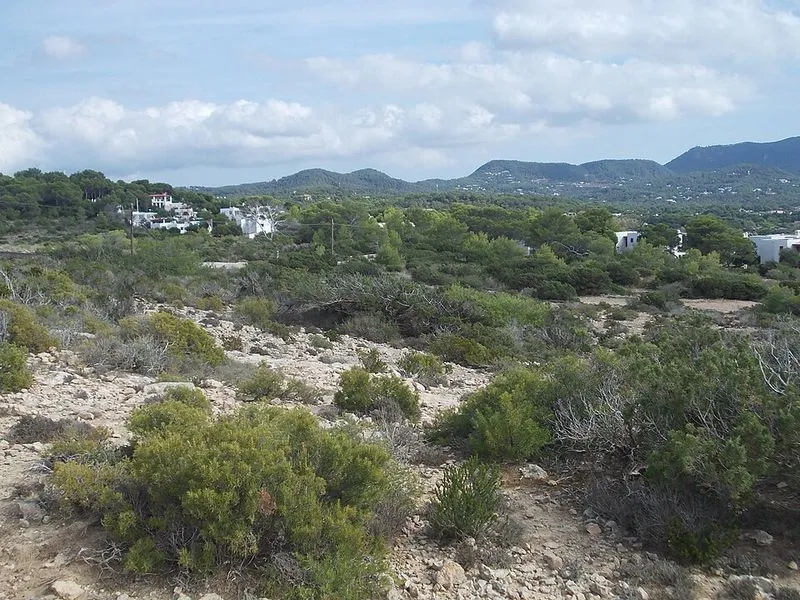 Playa Sa Figuera Borda en Sant Josep de sa Talaia, Islas Baleares — foto 3 de 4