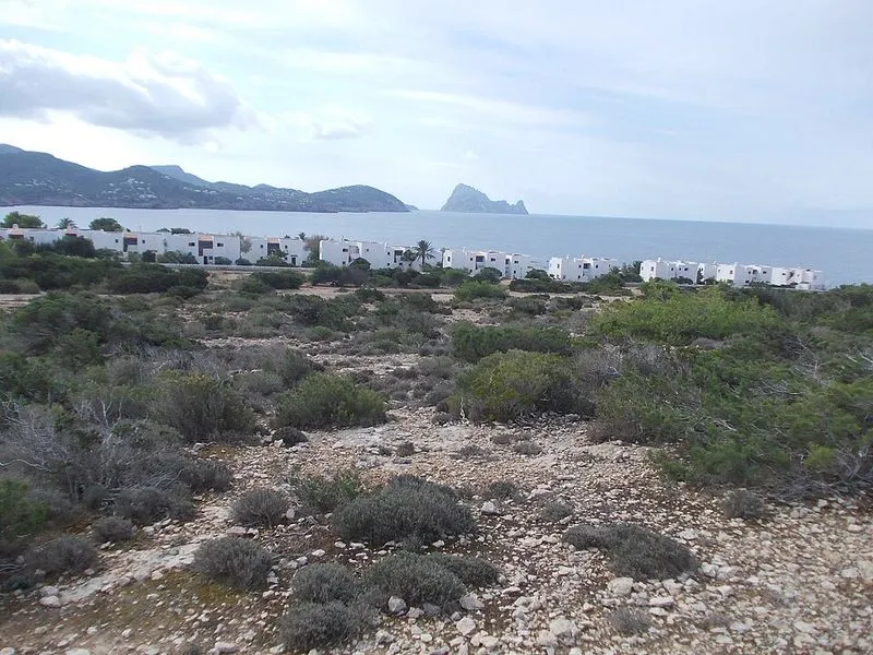 Playa Sa Figuera Borda en Sant Josep de sa Talaia, Islas Baleares — foto 4 de 4