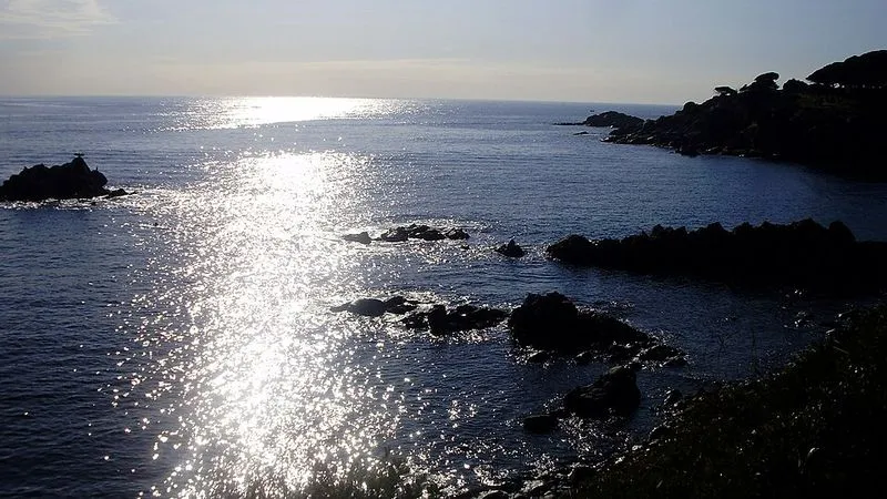 Playa Sa Tamardia en Palamós, Gerona — foto 4 de 4