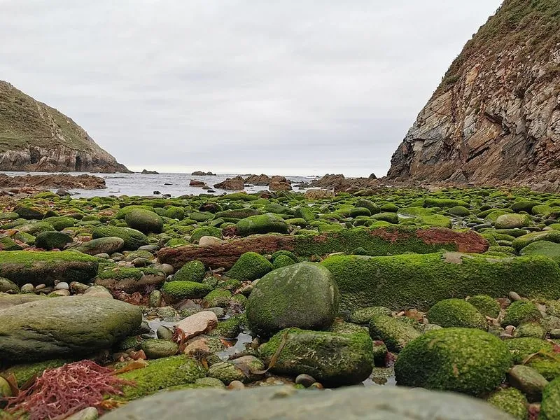 Playa de Salencia en Cudillero
