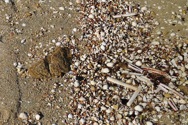 Playa de Salinas en A Illa de Arousa, Pontevedra — foto 3 de 5