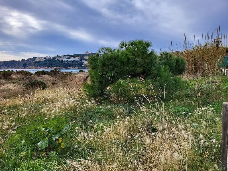 Playa Sant Pol en Sant Feliu de Guíxols, Gerona — foto 8 de 9