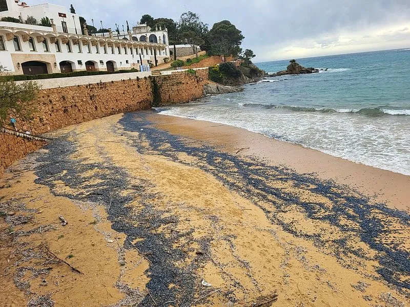 Playa Sant Pol en Sant Feliu de Guíxols, Gerona — foto 5 de 9