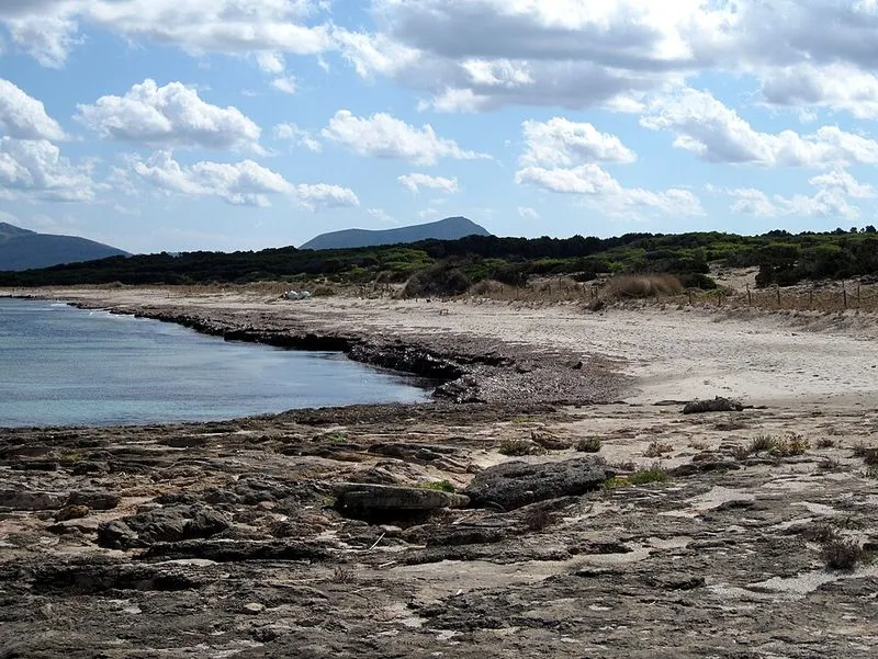 Playa S'Arenal d'En Casat en Santa Margalida, Islas Baleares — foto 2 de 10