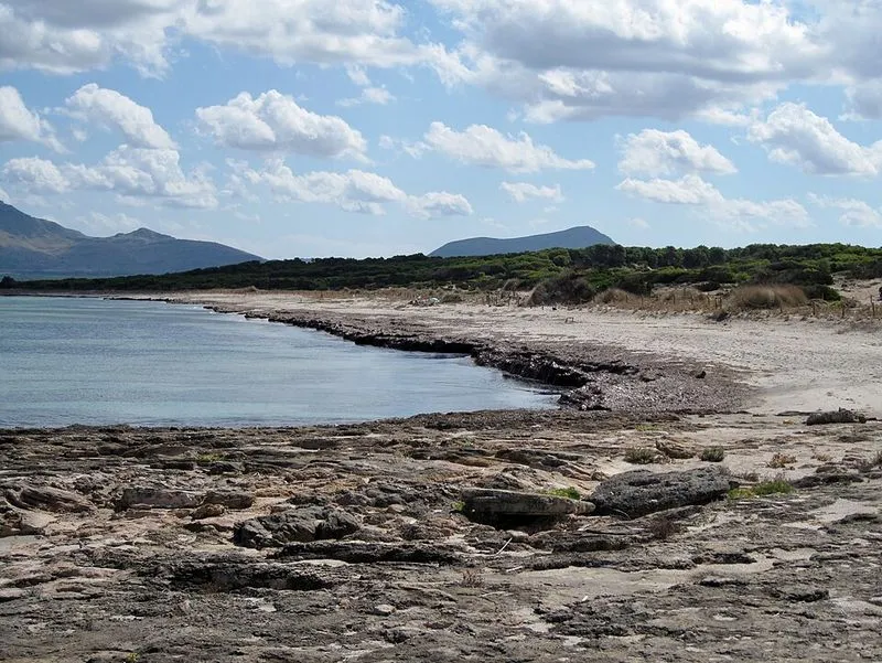 Playa S'Arenal d'En Casat en Santa Margalida, Islas Baleares — foto 4 de 10