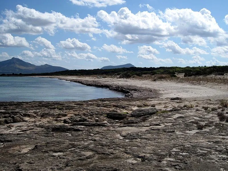 Playa S'Arenal d'En Casat en Santa Margalida, Islas Baleares — foto 6 de 10