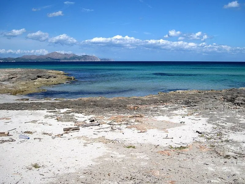 Playa S'Arenal d'En Casat en Santa Margalida, Islas Baleares — foto 8 de 10