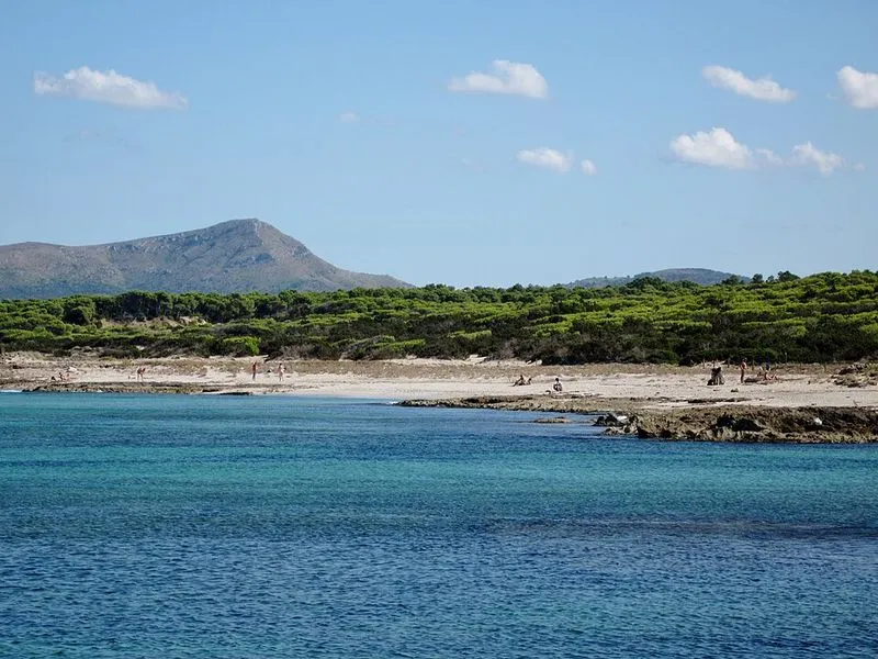 Playa S'Arenal d'En Casat en Santa Margalida, Islas Baleares — foto 3 de 10