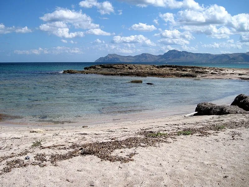 Playa S'Arenal d'En Casat en Santa Margalida, Islas Baleares — foto 7 de 10