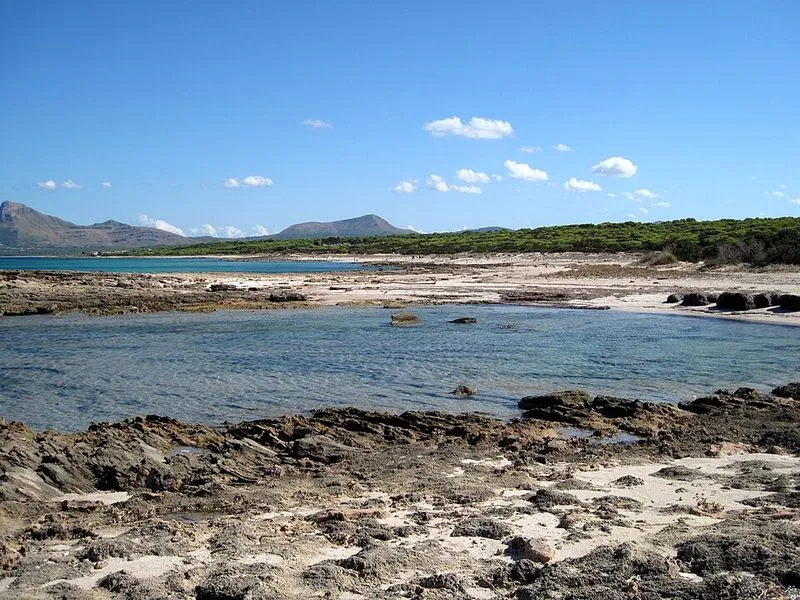 Playa S'Arenal d'En Casat en Santa Margalida, Islas Baleares — foto 9 de 10