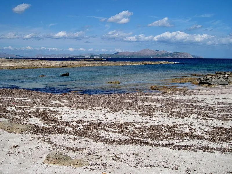 Playa S'Arenal d'En Casat en Santa Margalida, Islas Baleares — foto 10 de 10