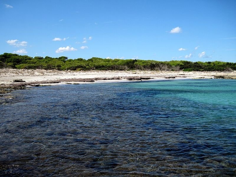 Playa S'Arenal d'En Casat en Santa Margalida, Islas Baleares