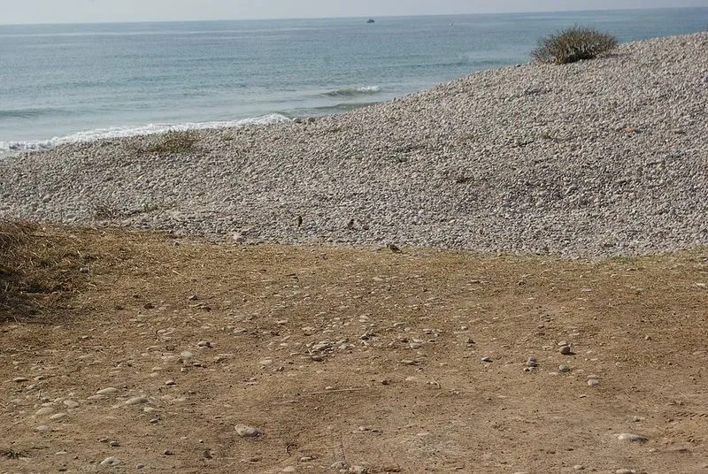 Playa Serradal en Alcalà de Xivert, Castellón — foto 9 de 10
