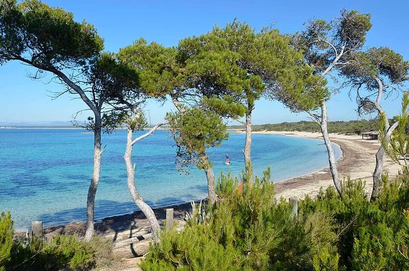 Playa Ses Estanques en Campos, Islas Baleares — foto 4 de 4