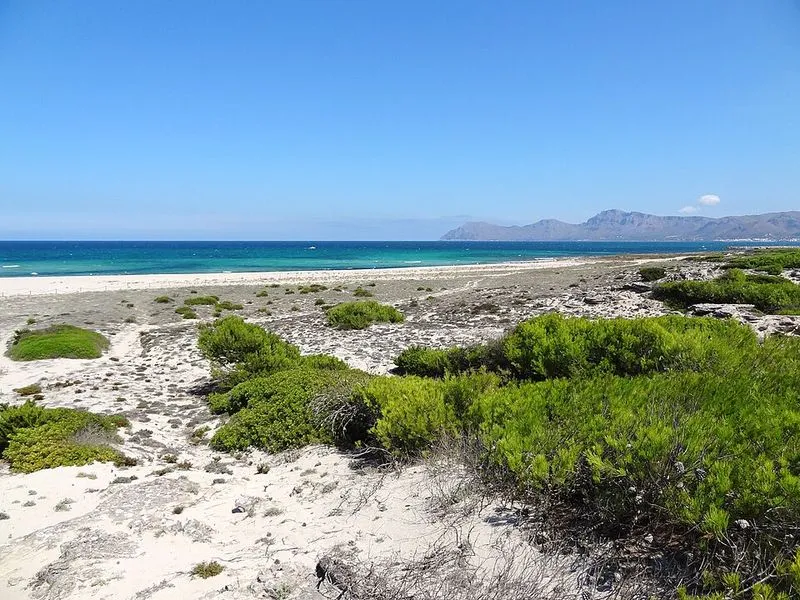 Playa Son Real en Santa Margalida, Islas Baleares — foto 2 de 14