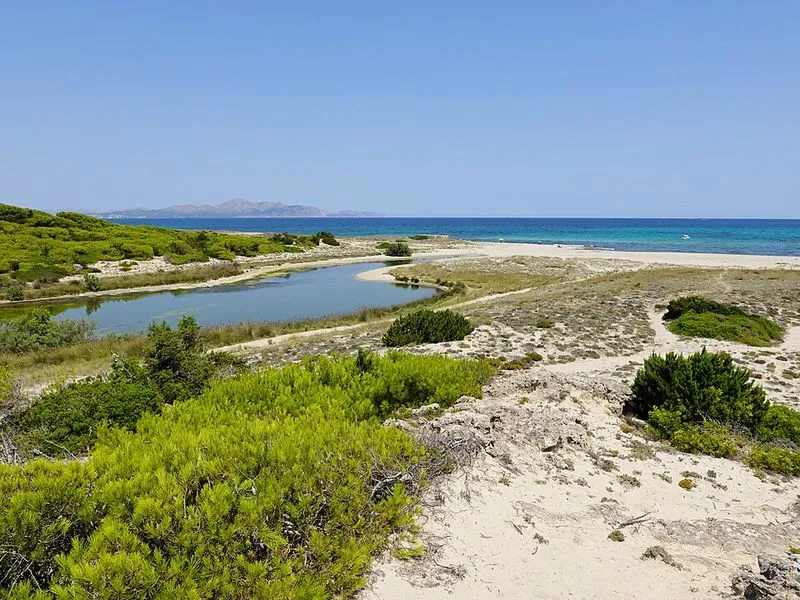 Playa Son Real en Santa Margalida, Islas Baleares — foto 5 de 14