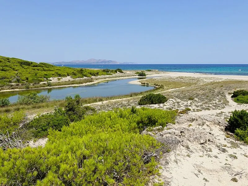 Playa Son Real en Santa Margalida, Islas Baleares — foto 8 de 14