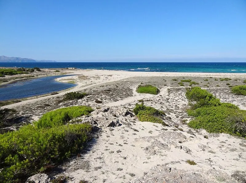Playa Son Real en Santa Margalida, Islas Baleares — foto 11 de 14