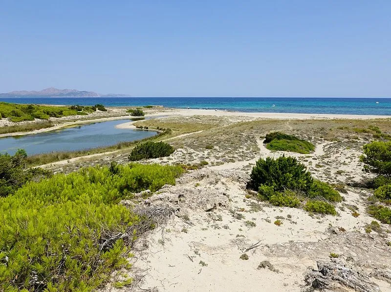 Playa Son Real en Santa Margalida, Islas Baleares — foto 3 de 14