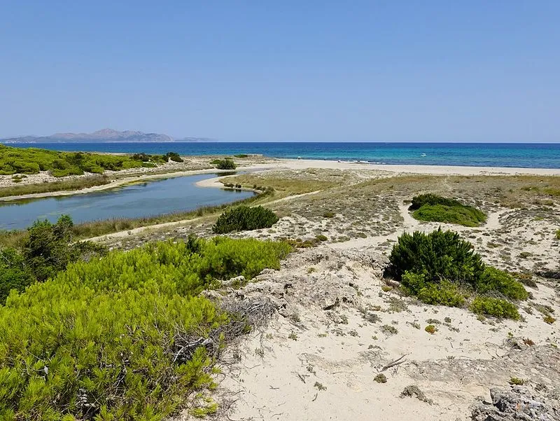 Playa Son Real en Santa Margalida, Islas Baleares — foto 6 de 14