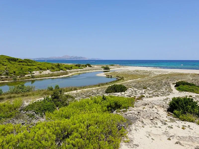 Playa Son Real en Santa Margalida, Islas Baleares — foto 9 de 14