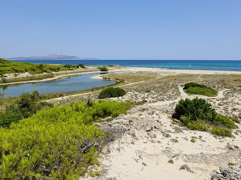 Playa Son Real en Santa Margalida, Islas Baleares — foto 12 de 14