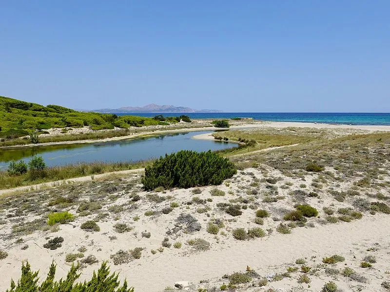 Playa Son Real en Santa Margalida, Islas Baleares — foto 14 de 14