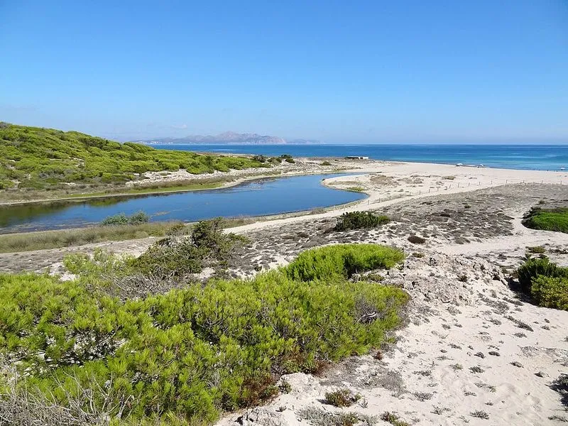 Playa Son Real en Santa Margalida, Islas Baleares — foto 4 de 14