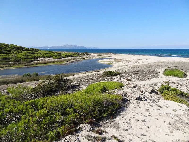 Playa Son Real en Santa Margalida, Islas Baleares — foto 7 de 14