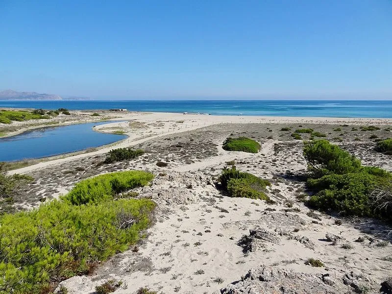 Playa Son Real en Santa Margalida, Islas Baleares — foto 10 de 14