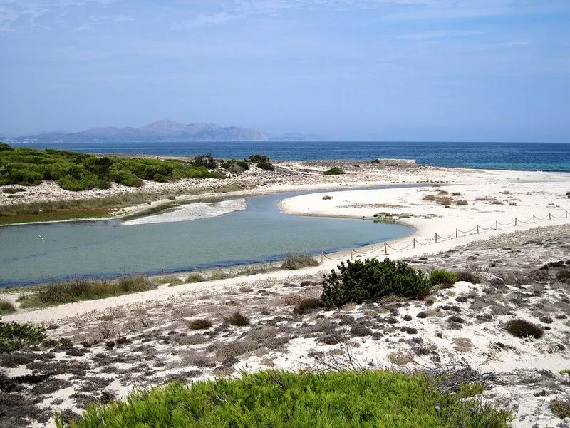 Playa Son Real en Santa Margalida, Islas Baleares — foto 13 de 14