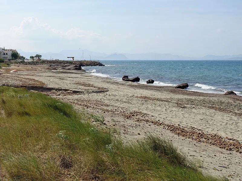 Playa Son Serra de Marina en Santa Margalida, Islas Baleares — foto 2 de 6