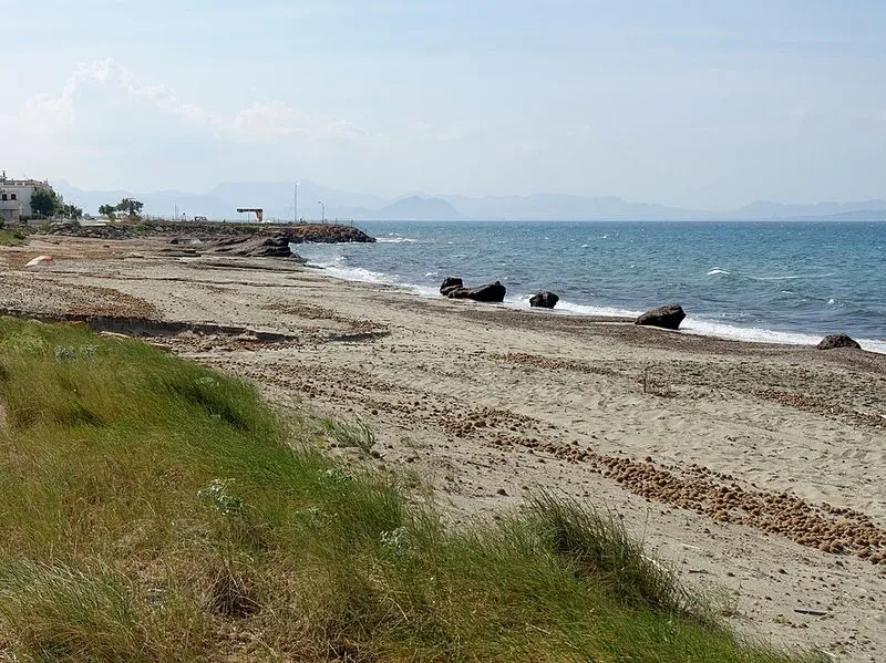 Playa Son Serra de Marina en Santa Margalida, Islas Baleares — foto 4 de 6