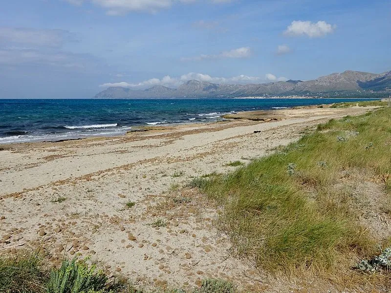 Playa Son Serra de Marina en Santa Margalida, Islas Baleares — foto 6 de 6