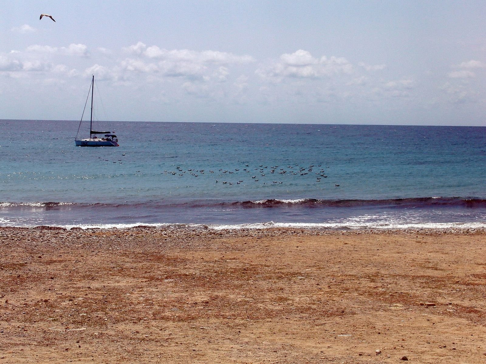 Playa de Tabarca en Alacant/Alicante, Alicante