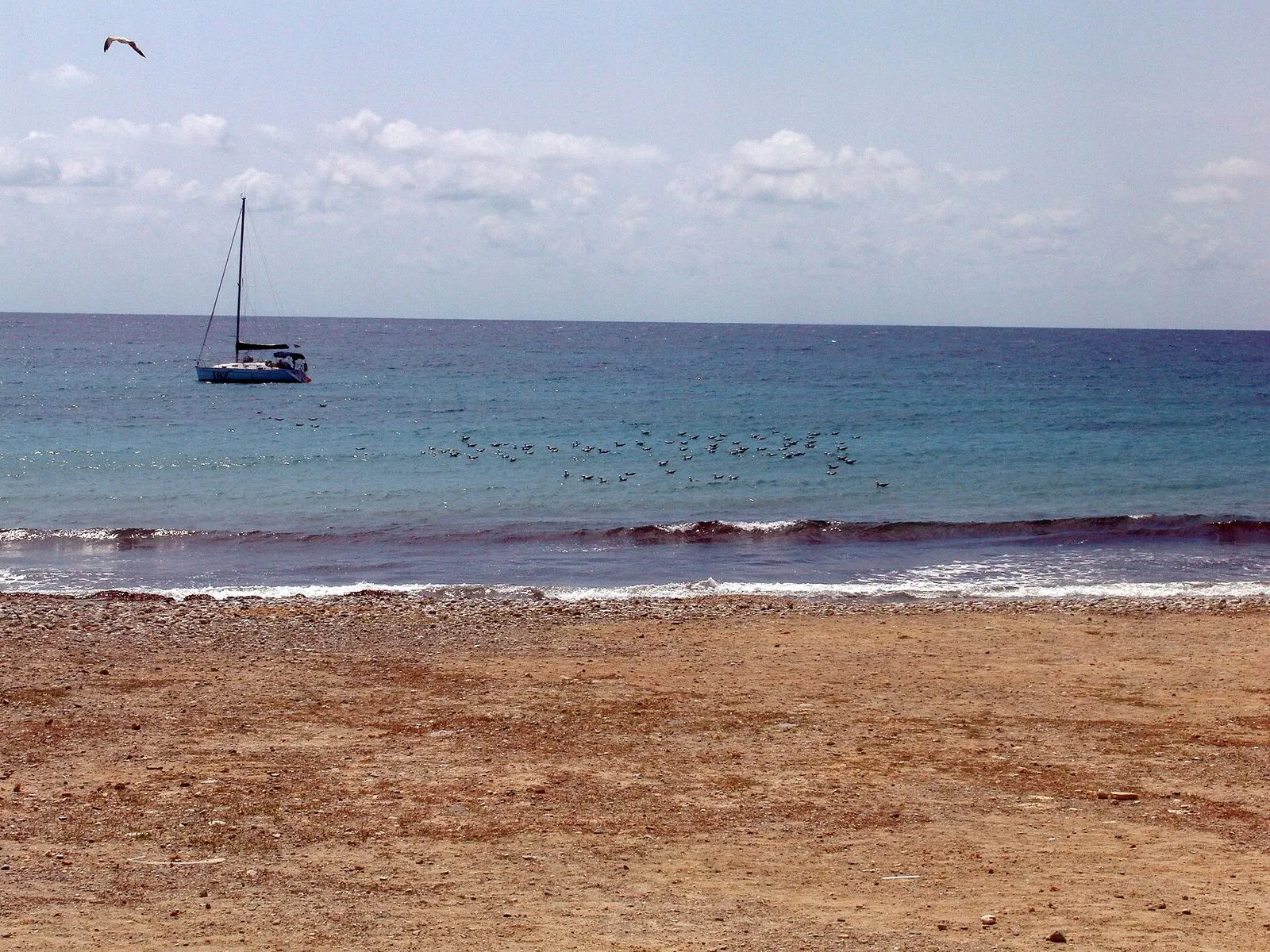 Playa de Tabarca en Alacant/Alicante