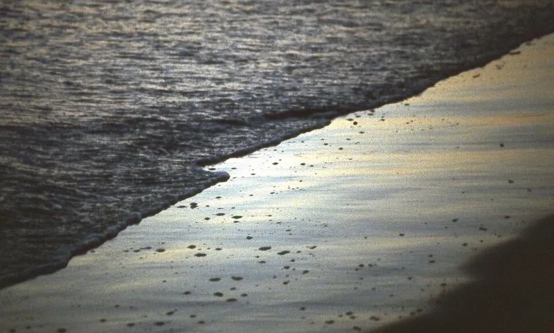 Playa de Tamarit en Santa Pola, Alicante — foto 1 de 4