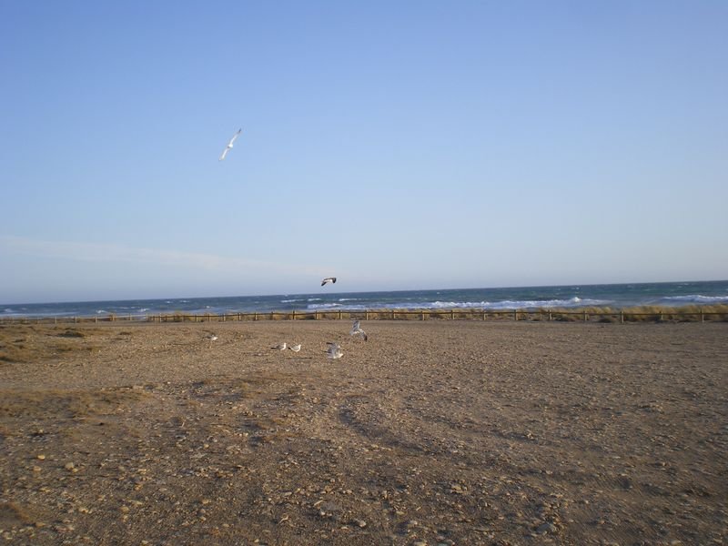 Playa Torregarcía en Almería
