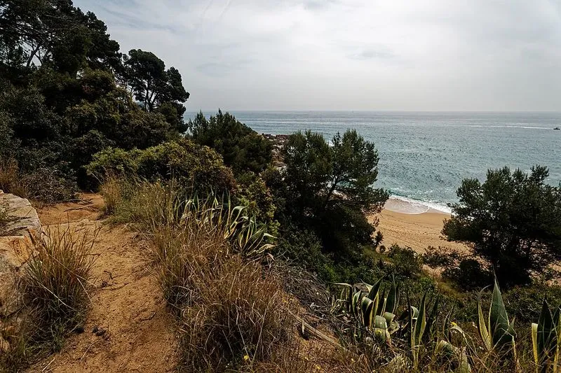 Playa Treumal en Blanes, Gerona — foto 8 de 10