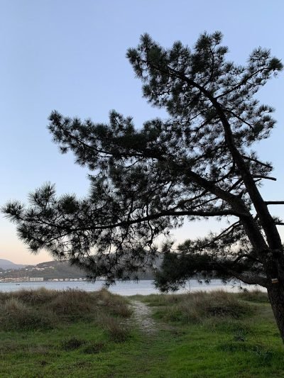 Playa de A Lamiña en A Guarda